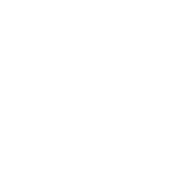 Giới thiệu 11 Icon chi nhánh