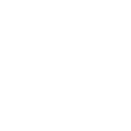 Giới thiệu 12 Icon khách hàng