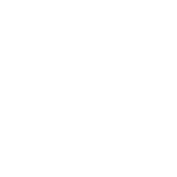 icon-map-trang