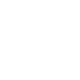 icon-phao-hoa
