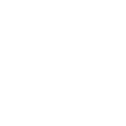 Icon Phone